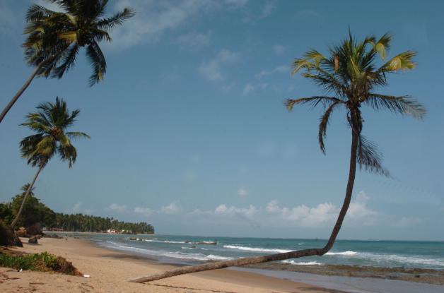 Praia de Japaratinga II