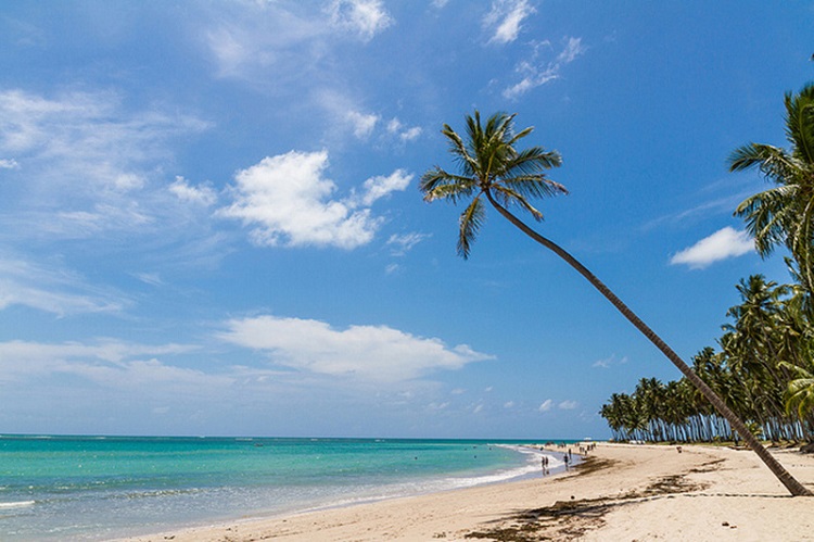 Praia dos Carneiros - Tamandaré (PE)