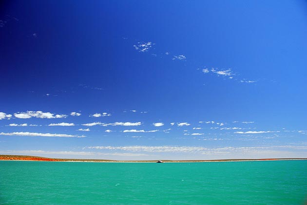 Shark-Bay-(Austrália)