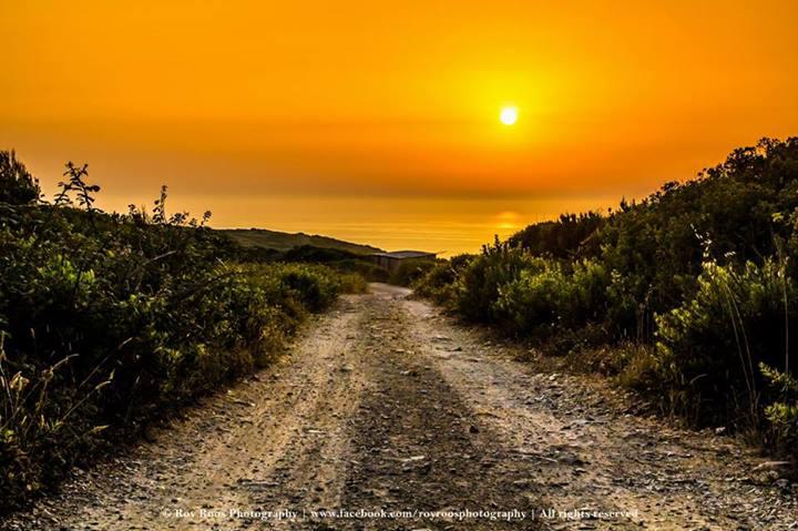 Sintra Roy Roos Photography