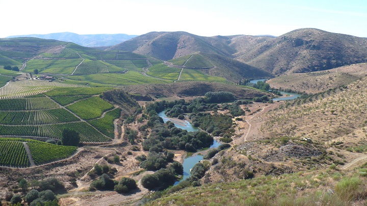 Vale Côa