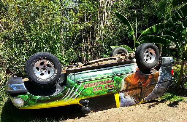 Vale dos Dinossauros (3)