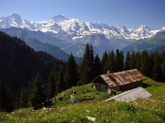 View on the Alps, Switzerland