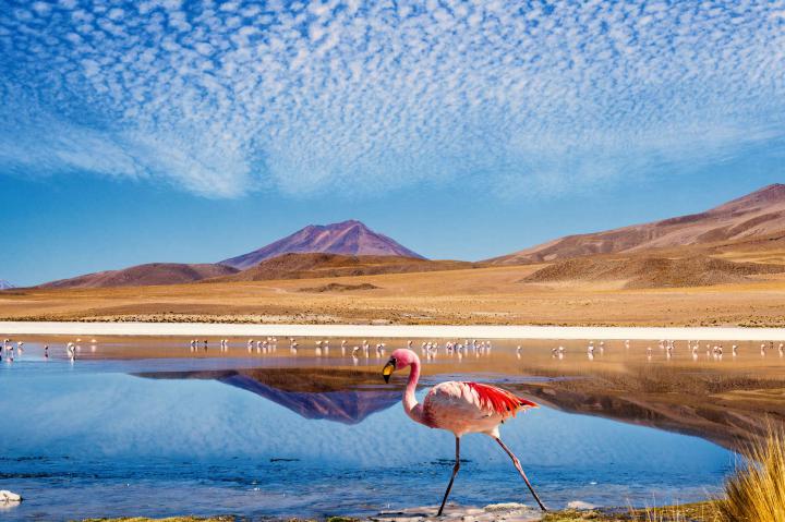 atacama2