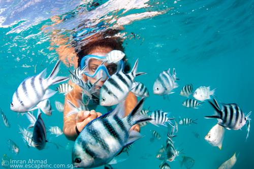 fish_lovers_1_20130321_1245418230