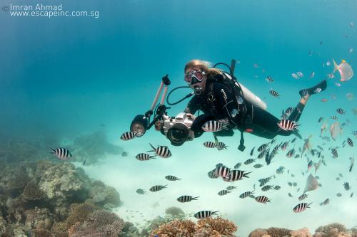 fish_lovers_9_20130321_2009342627