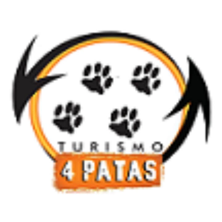 logo_novo_t4 pq