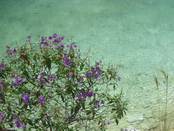 meu pequeno paraíso