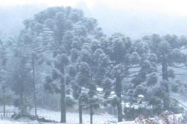 neve-em-santa-catarina-urupema