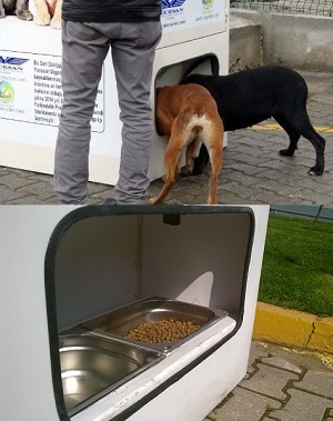 pugedon-Sustentabilidade a favor dos animais