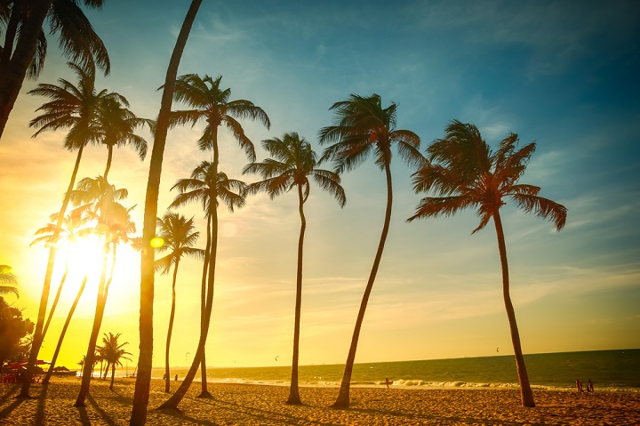 Foto: shutterstock - Praia de Cumbuco - Fortaleza