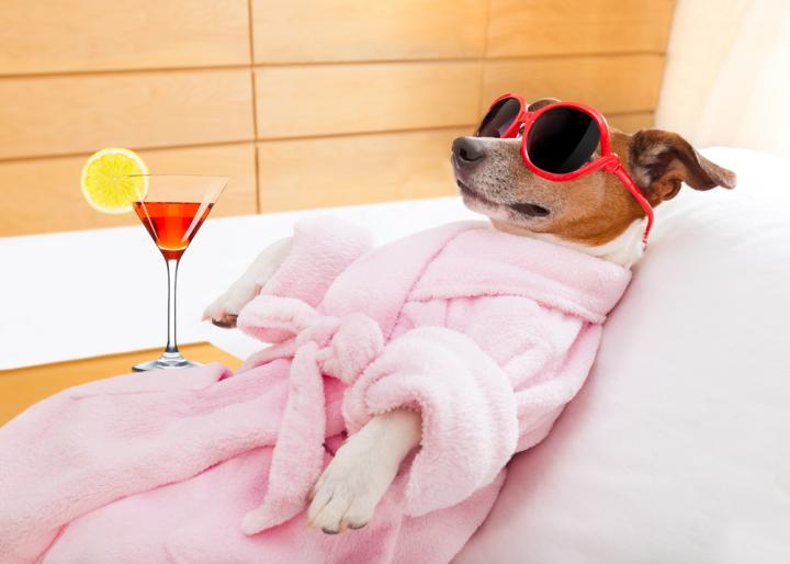 Foto: shutterstock