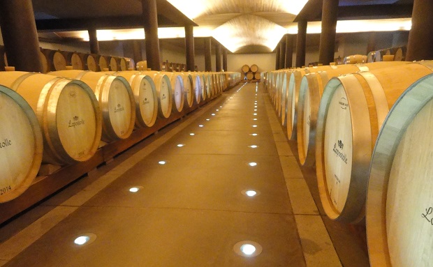 vinícola Casa Lapostolle (2)